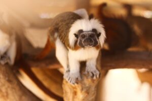不眠症を治すためのツボはどこにあるの？