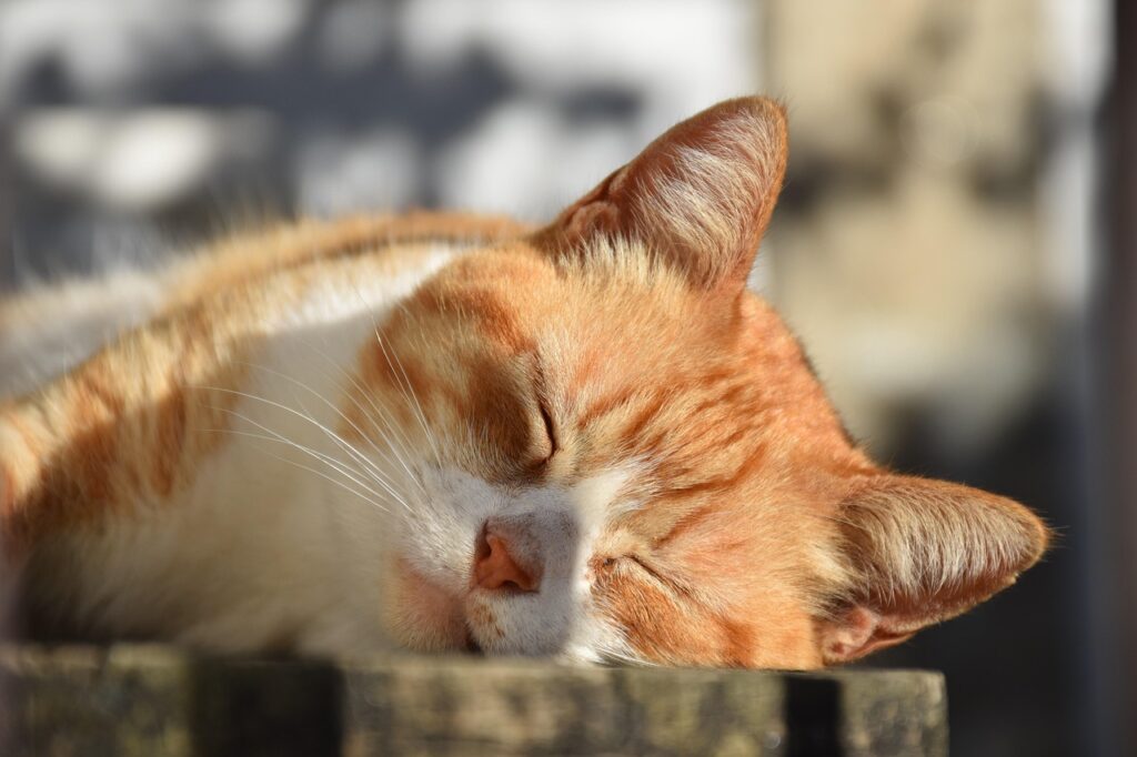 寝るための呼吸法でぐっすり眠るためのコツは？