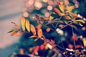 時差ボケを調整して不眠を解消する方法は？