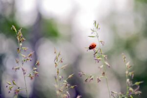 出張中の不眠に悩むあなたへ、効果的な対策は？