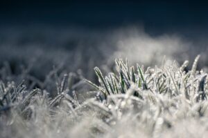 不眠症で朝起きれない原因と解決策は？