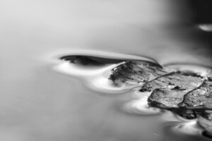 不眠症に対するカウンセリングの効果はどのようなものですか？