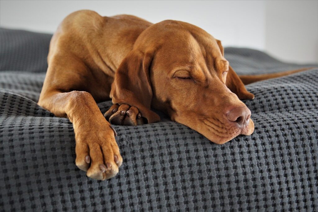 リラックスした呼吸で質の良い睡眠を得る方法は？