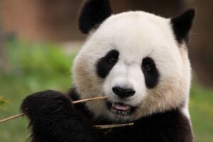 不眠症は何科を受診すれば解決できるのか？