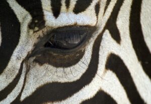 不眠症で夜中に目が覚める原因と対策は？