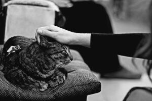 不眠症に効果的な漢方をオンラインで購入する方法は？