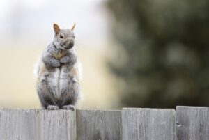 オンライン診療で不眠症の初診は可能？知っておきたいポイントとは？
